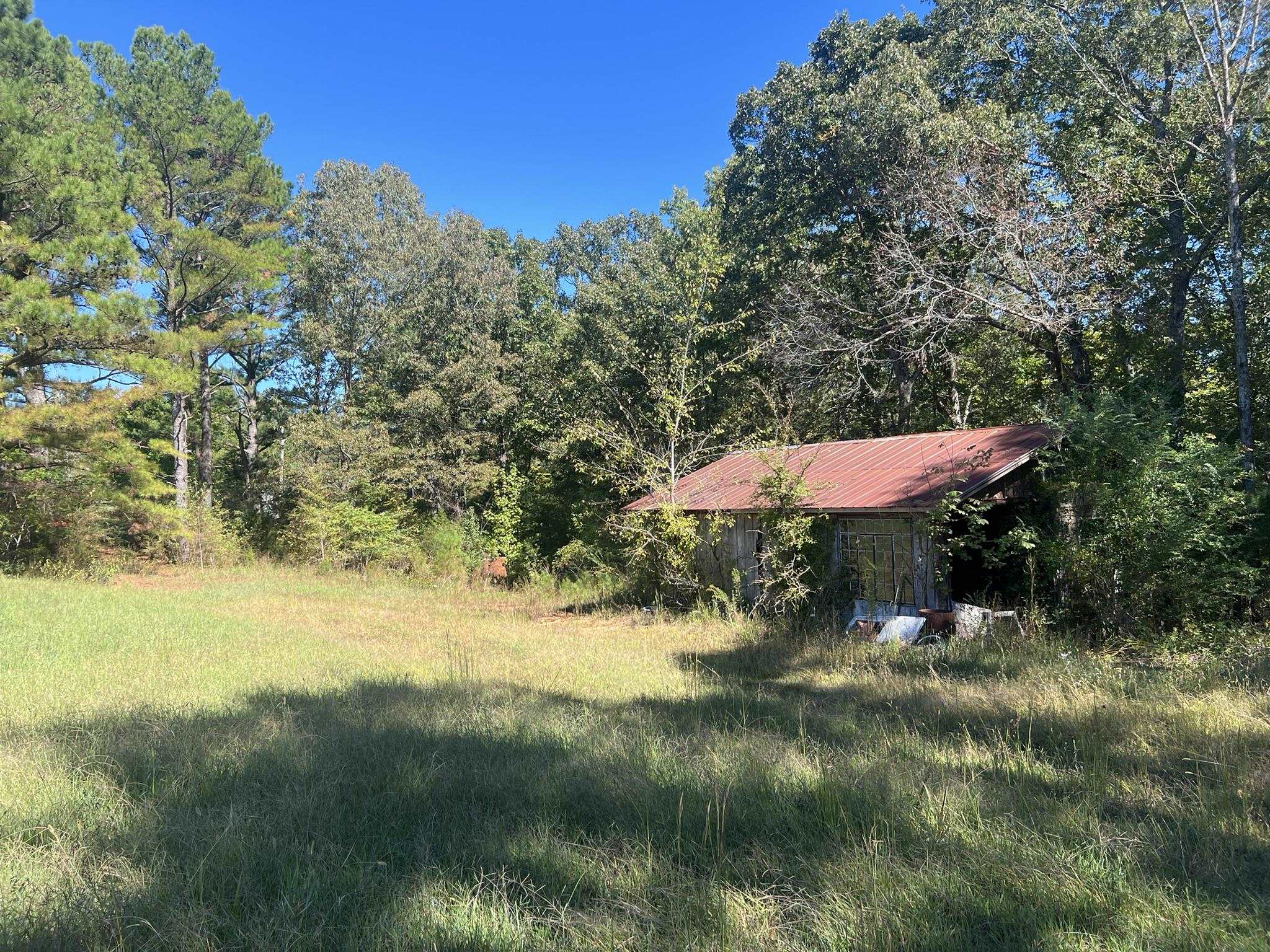 0 Walls Road Somerville, TN 38068 - Photo 12 of 15 a view of a back yard of a house