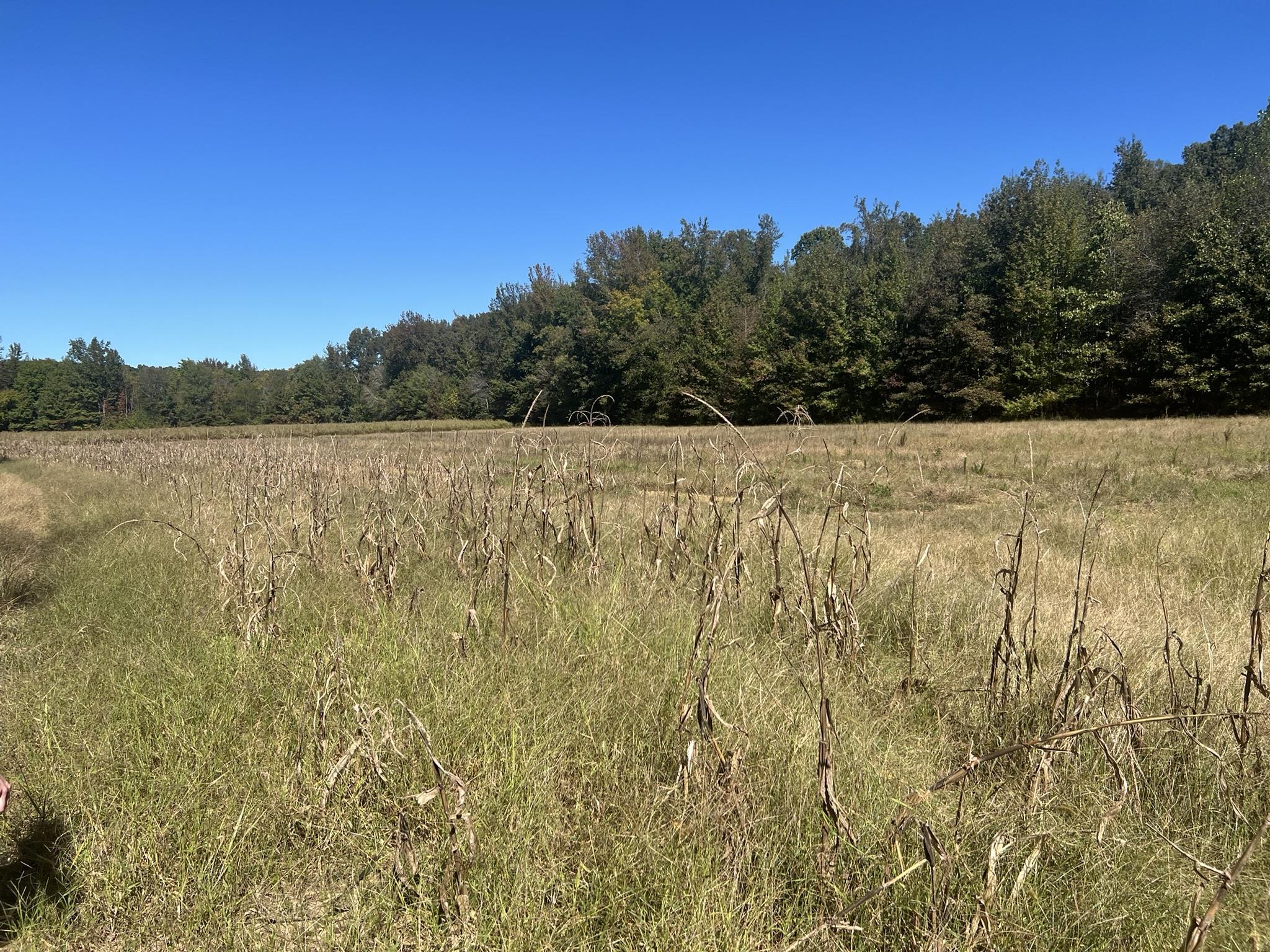0 Walls Road Somerville, TN 38068 - Photo 13 of 15 a view of lake and mountain