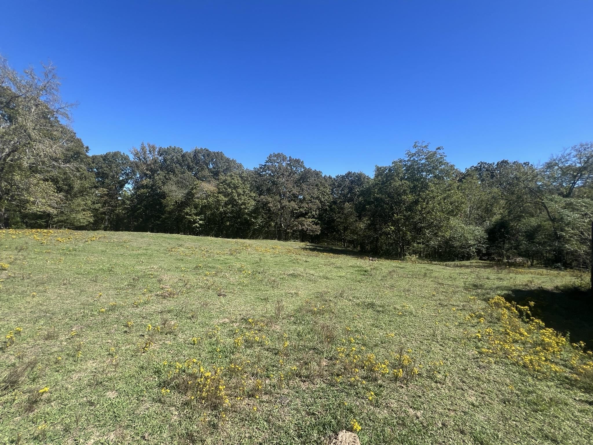 0 Walls Road Somerville, TN 38068 - Photo 14 of 15 a view of a field with trees in the background