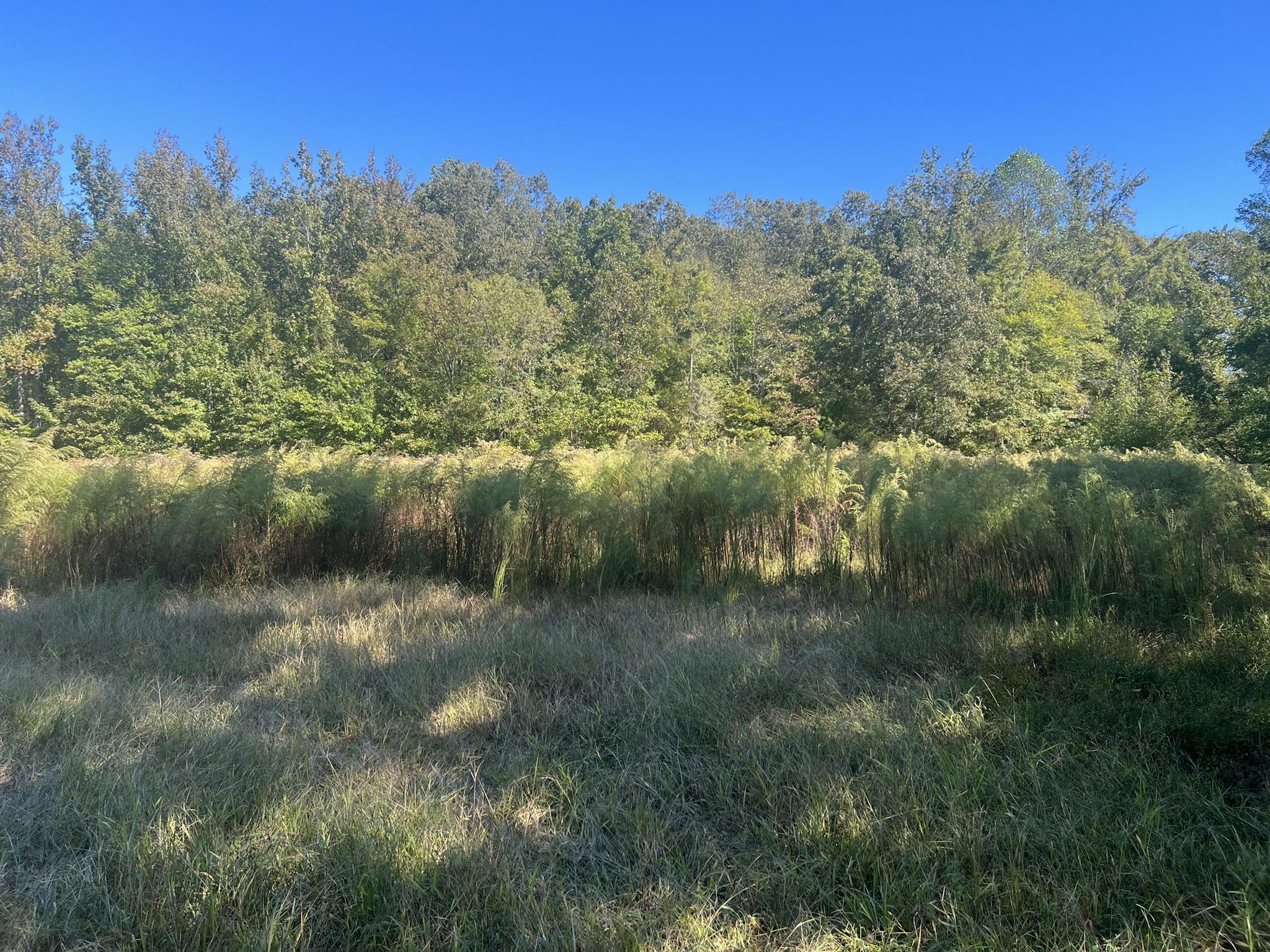 0 Walls Road Somerville, TN 38068 - Photo 15 of 15