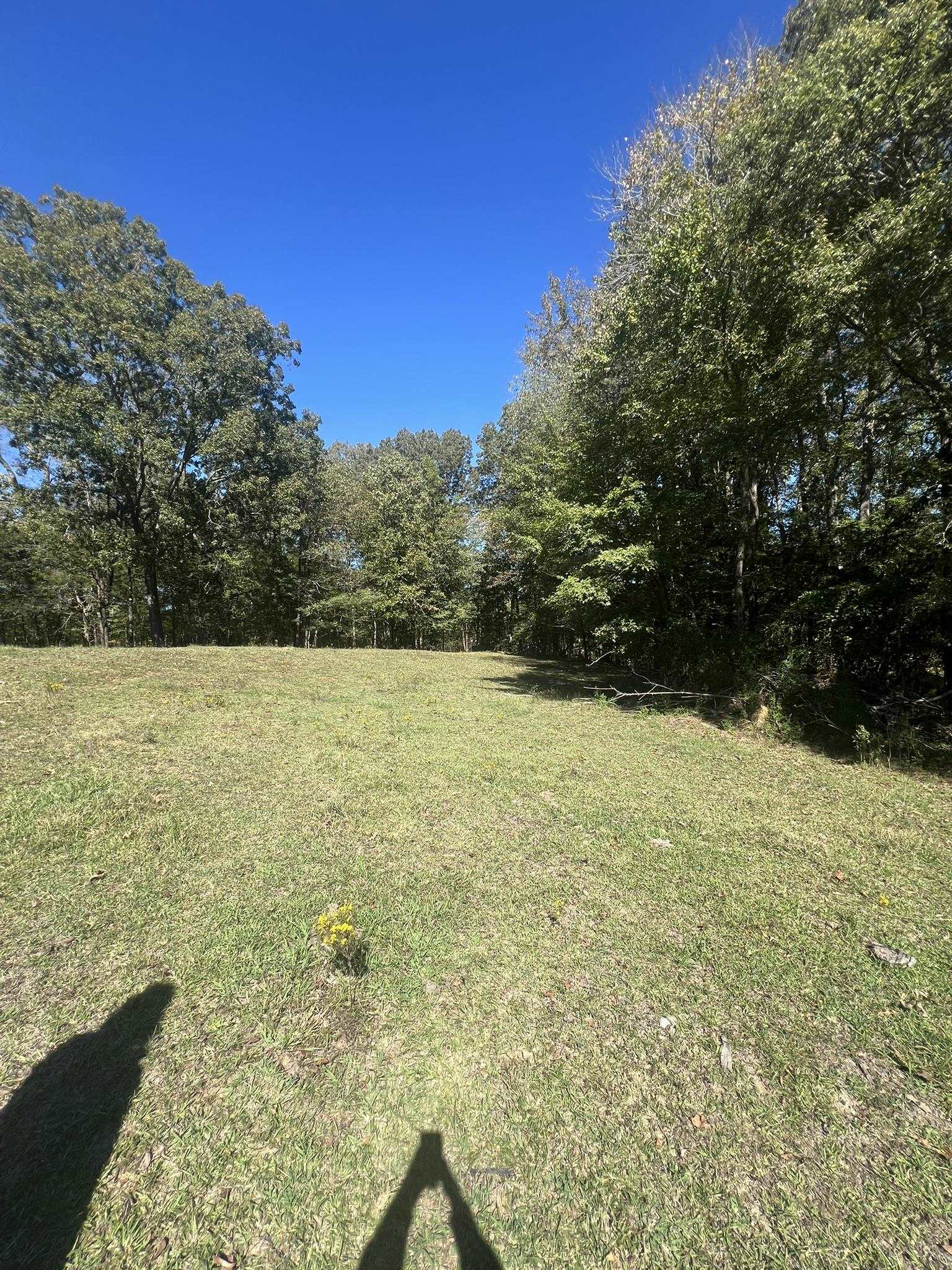 0 Walls Road Somerville, TN 38068 - Photo 4 of 15 a view of lake view