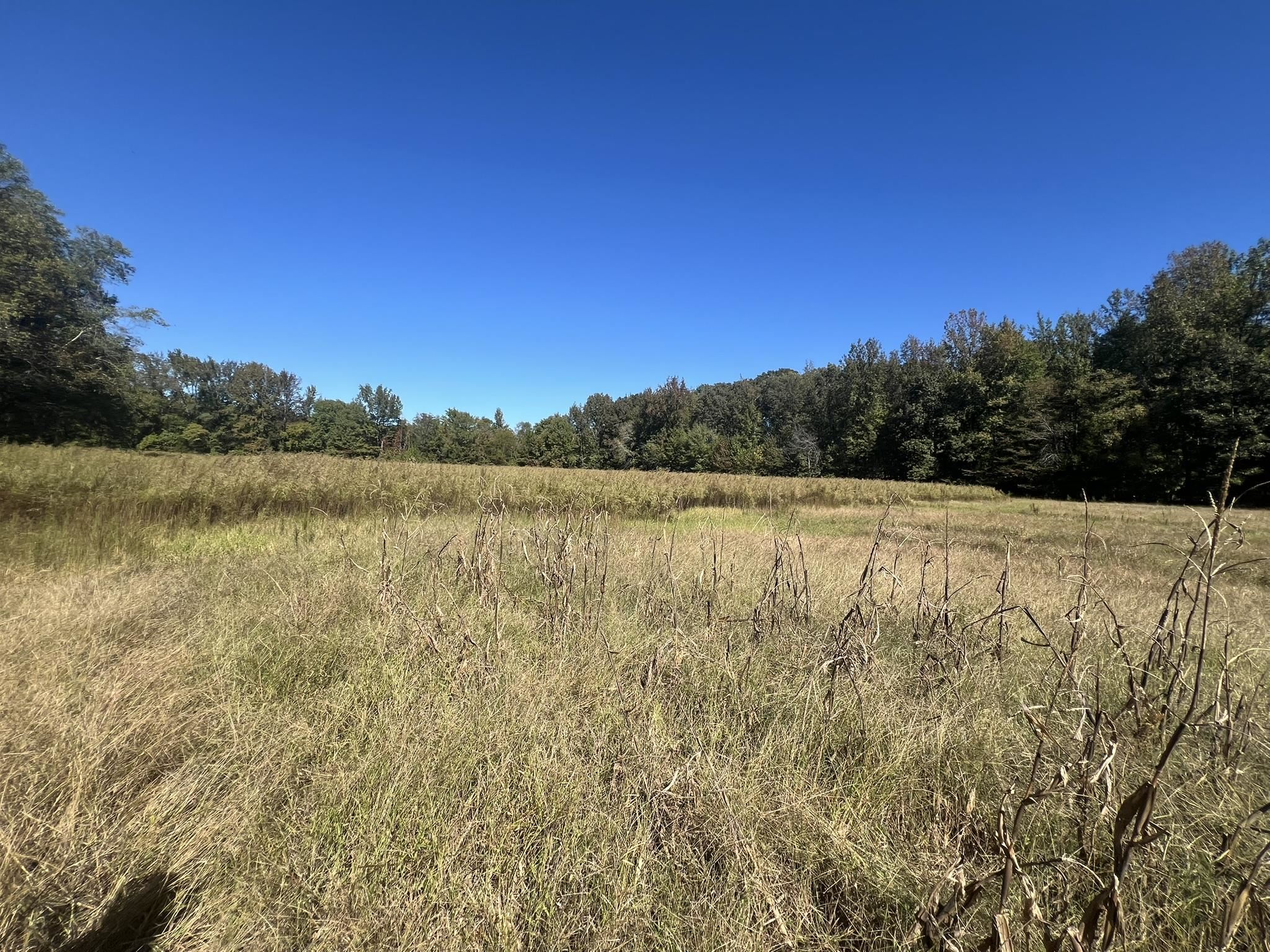 0 Walls Road Somerville, TN 38068 - Photo 6 of 15 a view of lake with green field