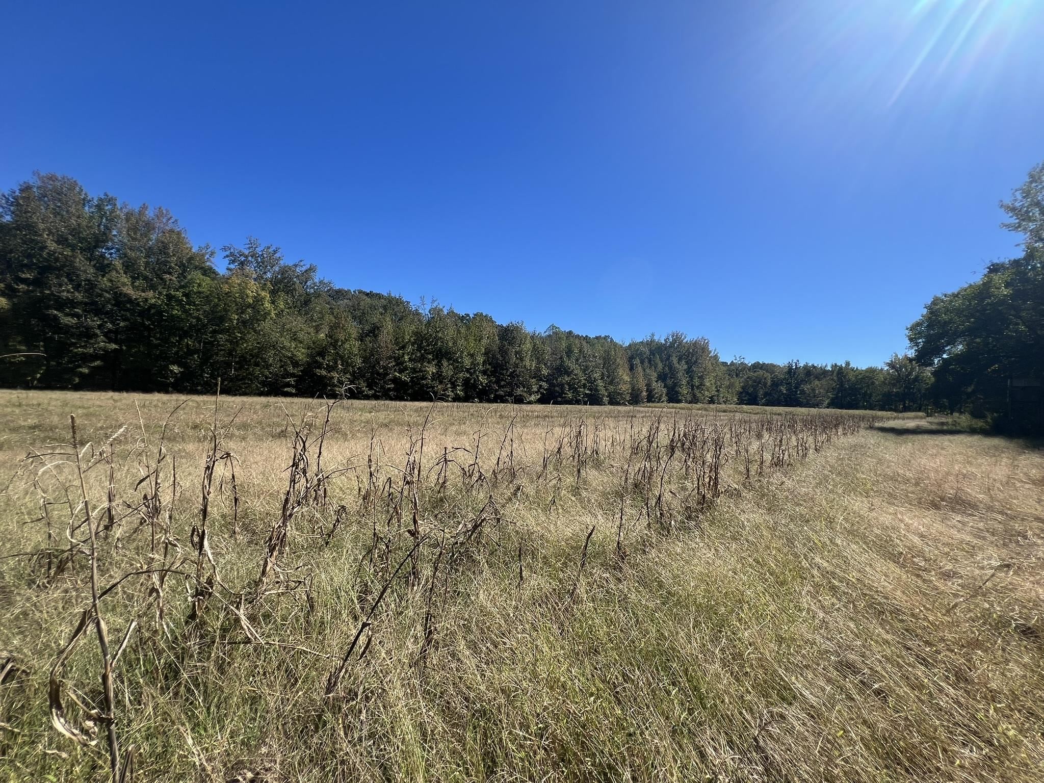 0 Walls Road Somerville, TN 38068 - Photo 7 of 15 a view of lake with mountain in background