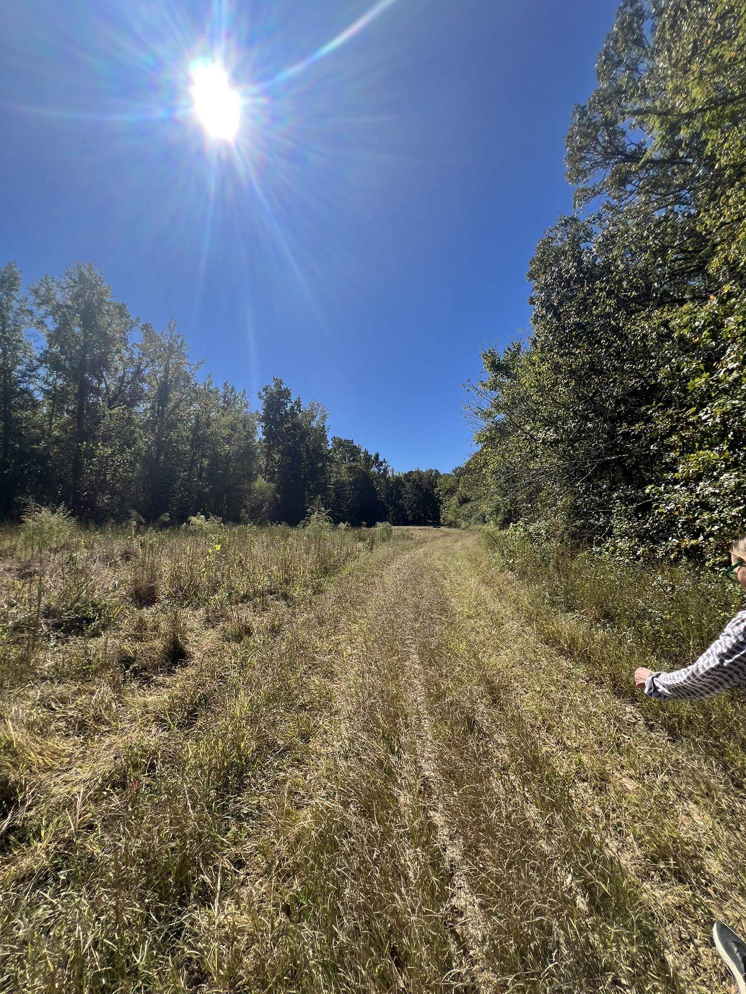 0 Walls Road Somerville, TN 38068 - Photo 8 of 15 a view of mountain view with lots of trees