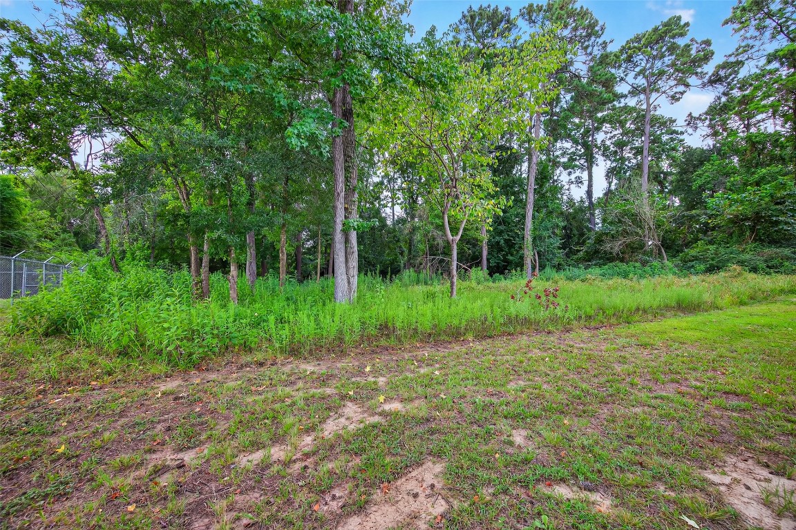 29902 East Hawthorne Drive Spring, TX 77386 - Photo 40 of 43 a view of a park