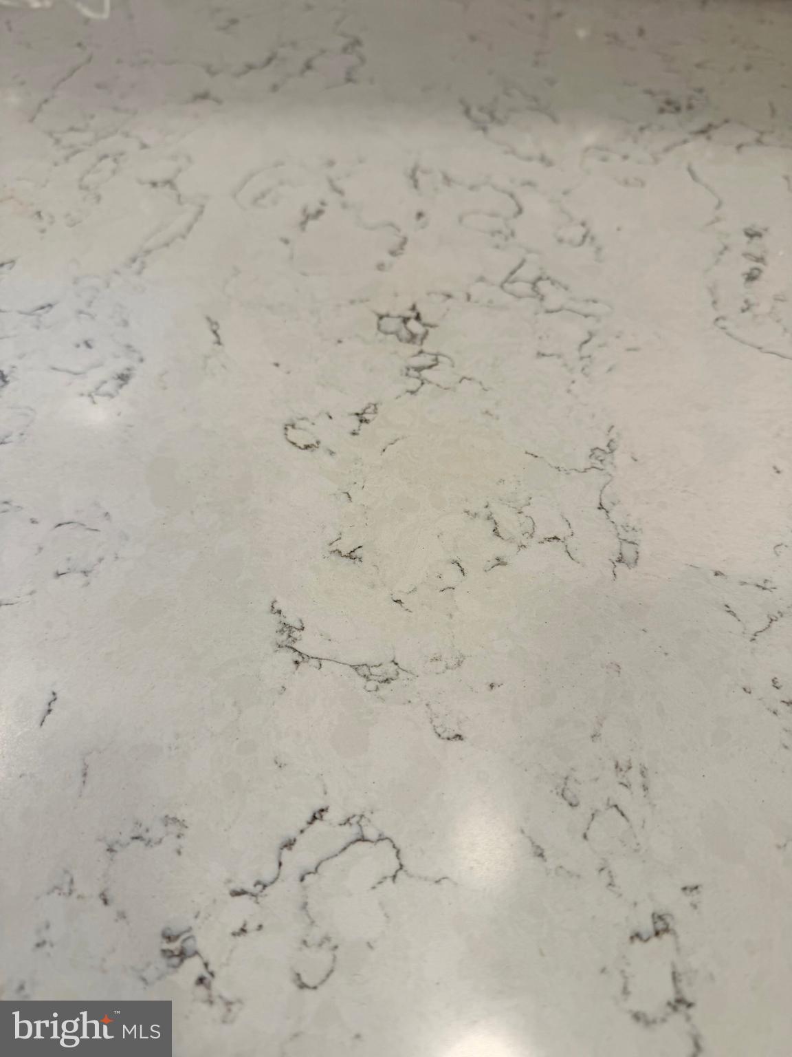 112 Chukar Court Lititz, PA 17543 - Photo 11 of 44