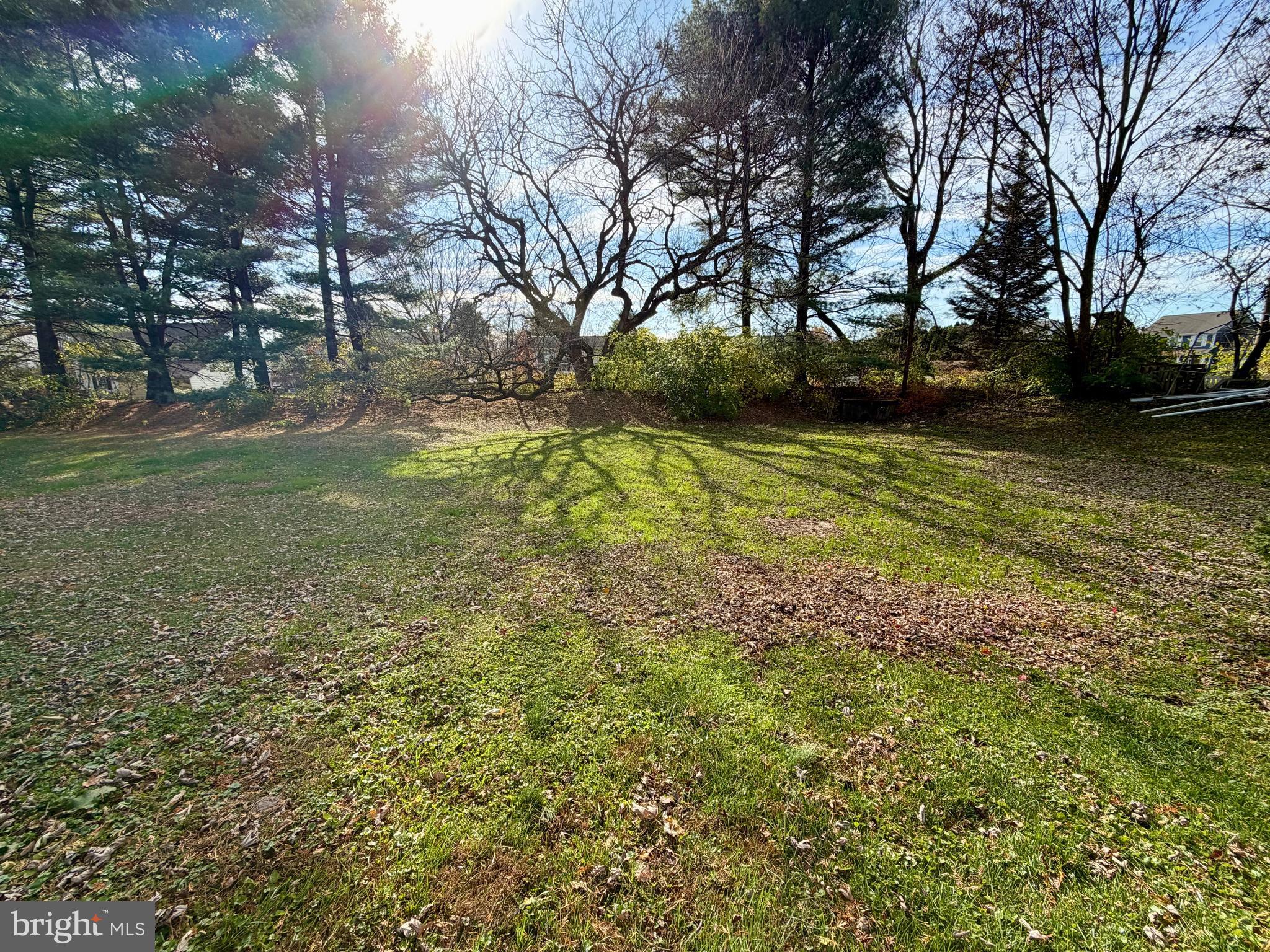 112 Chukar Court Lititz, PA 17543 - Photo 41 of 44 a view of yard with trees