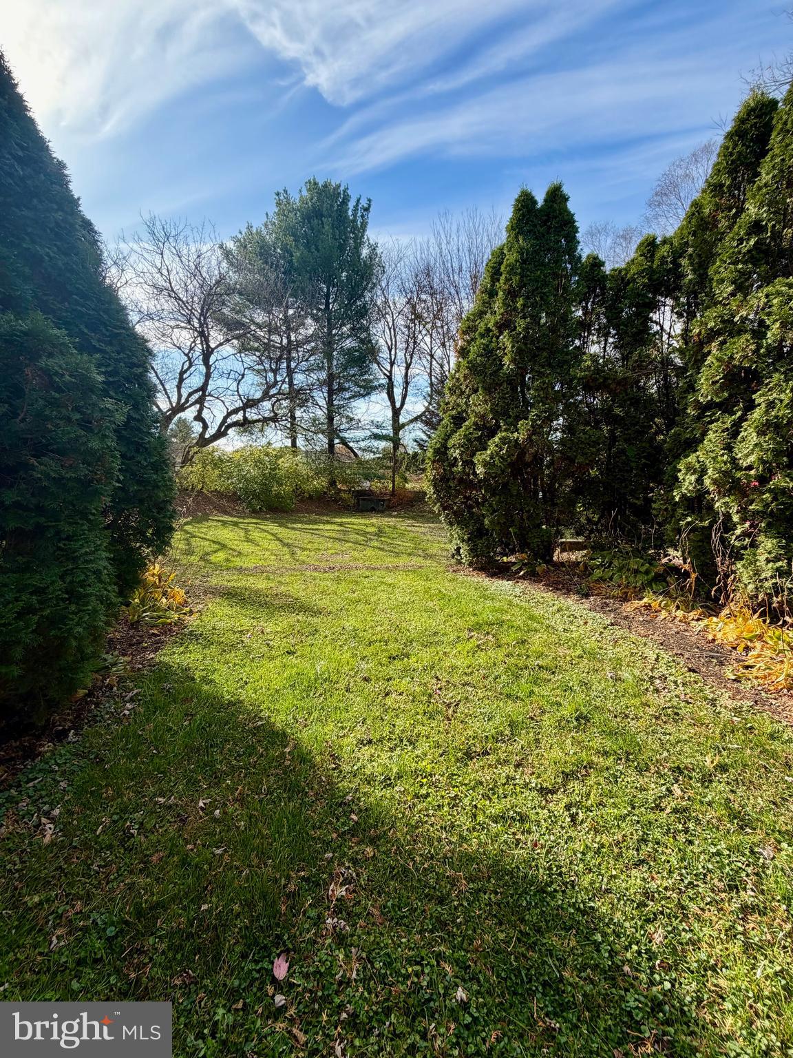112 Chukar Court Lititz, PA 17543 - Photo 42 of 44 a view of yard with large tree