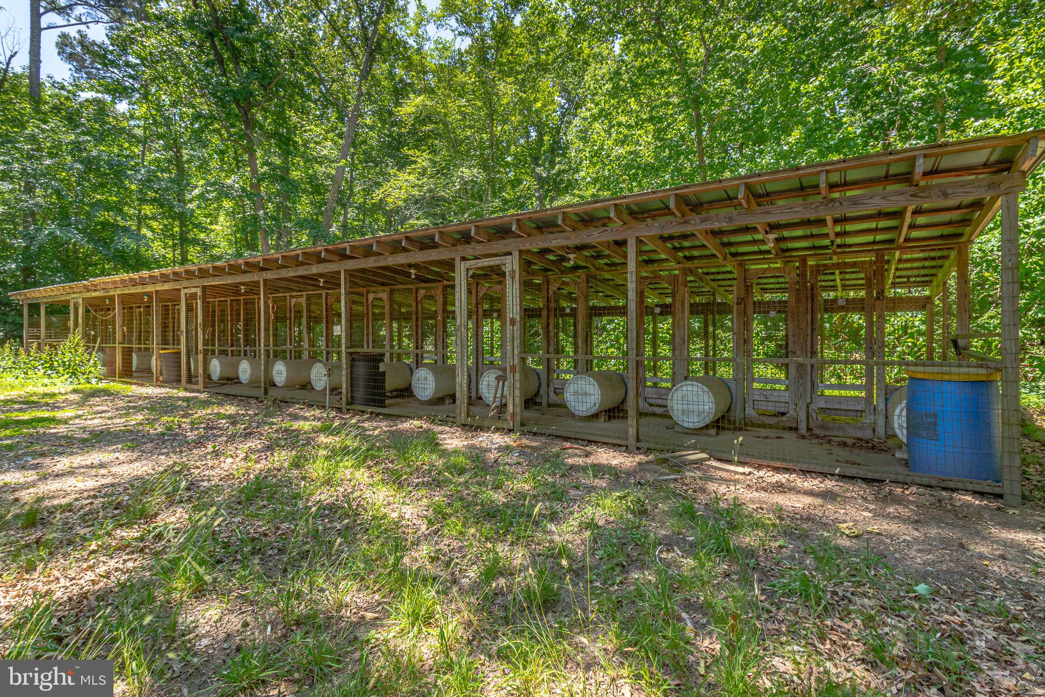 255 Knights Run Road Heathsville, VA 22473 - Photo 43 of 67 Kennels