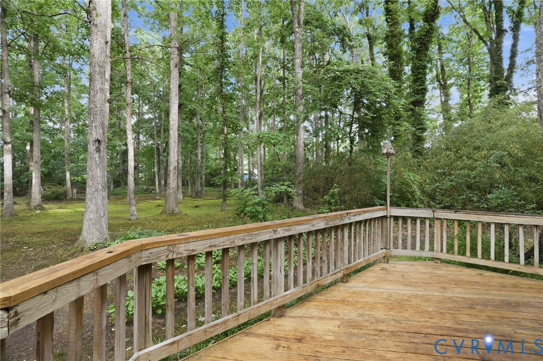 11735 South Briar Patch Drive Midlothian, VA 23113 - Photo 34 of 48