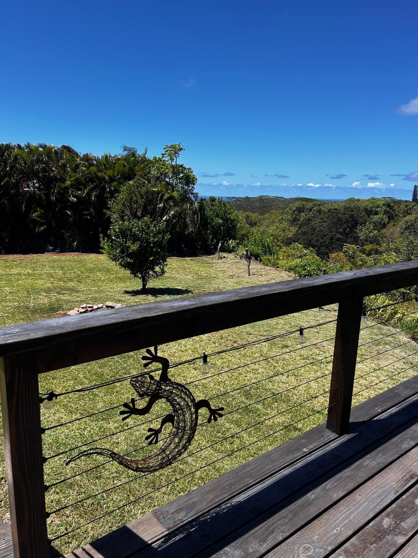1139 Kauhikoa Road, Unit A Haiku, HI 96708 - Photo 20 of 42 a view of a lake from a window