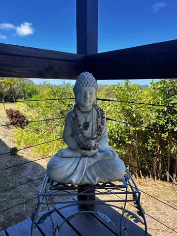 a view of a chairs in a patio