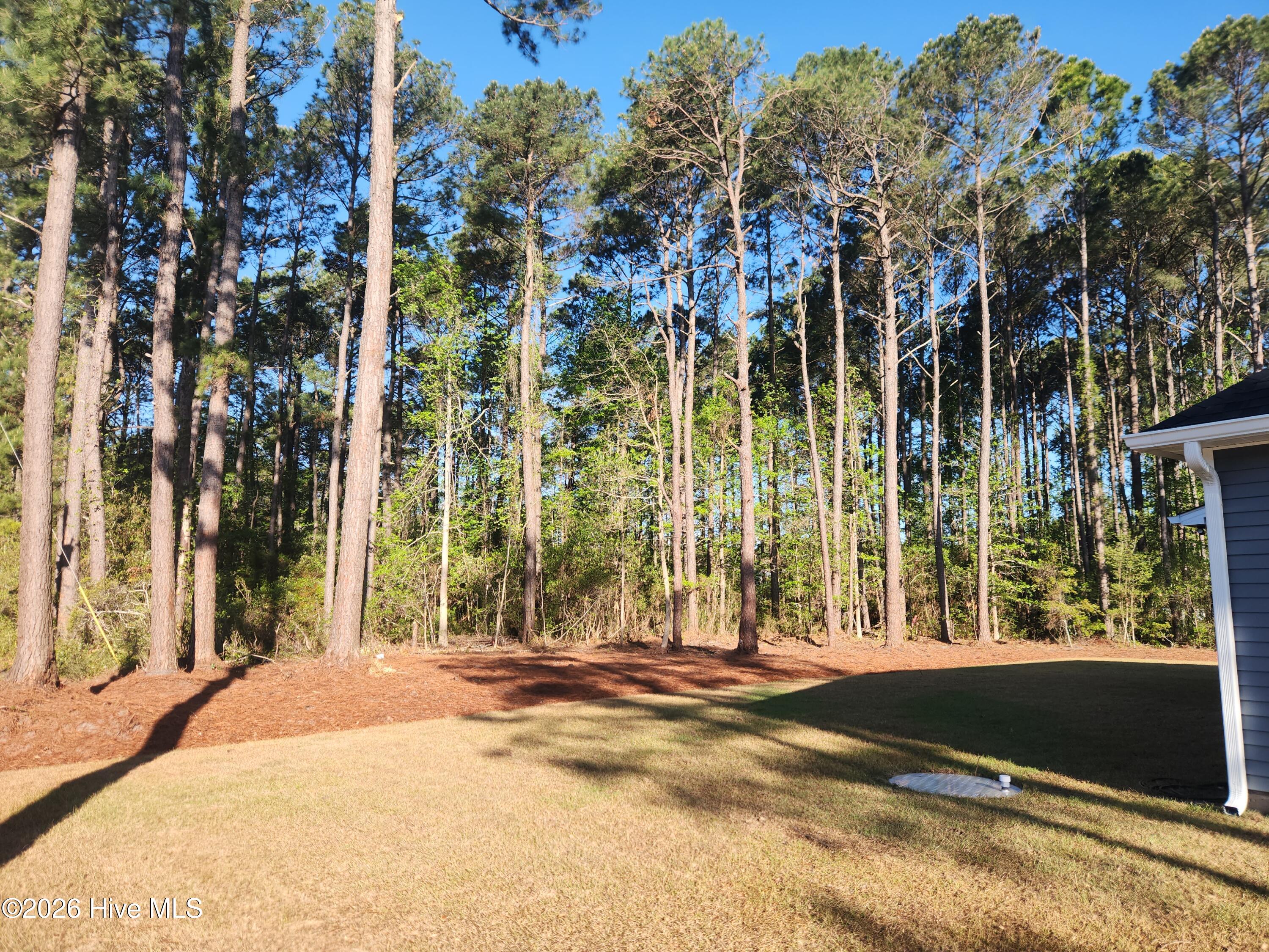 345 Boundary Loop Road Northwest Calabash, NC 28467 - Photo 54 of 54 20260410_083753