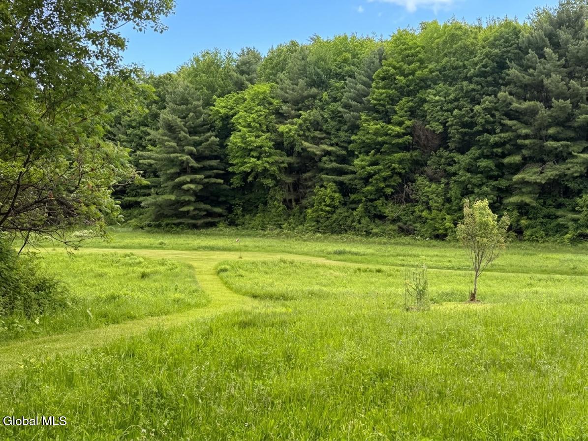 267 Kenyon Road Greenwich, NY 12834 - Photo 61 of 80 green field picture