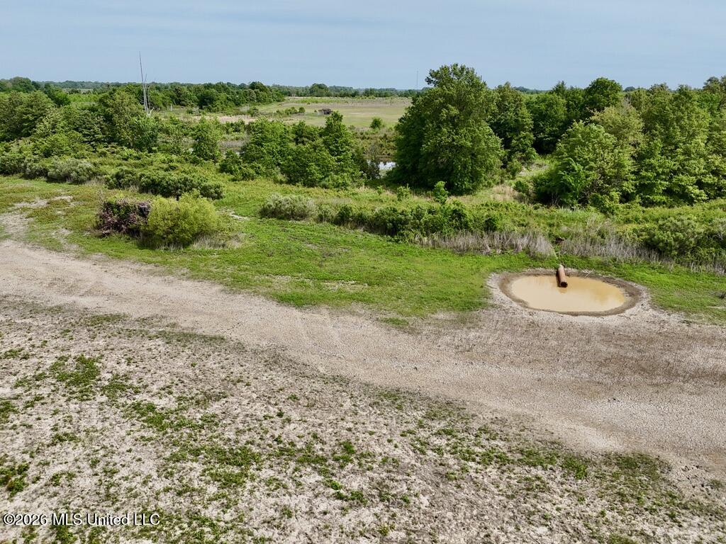 1 Highway 3 Lambert, MS 38643 - Photo 67 of 102 11F18439-F1B5-4775-A7D5-FC2615FF72CA_1_1
