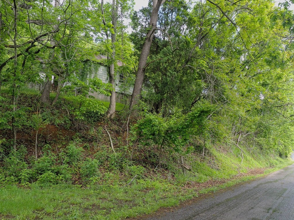 476 Stoots Mountain Road, Unit 26 27 Austinville, VA 24312 - Photo 8 of 9 Gallery Image 8
