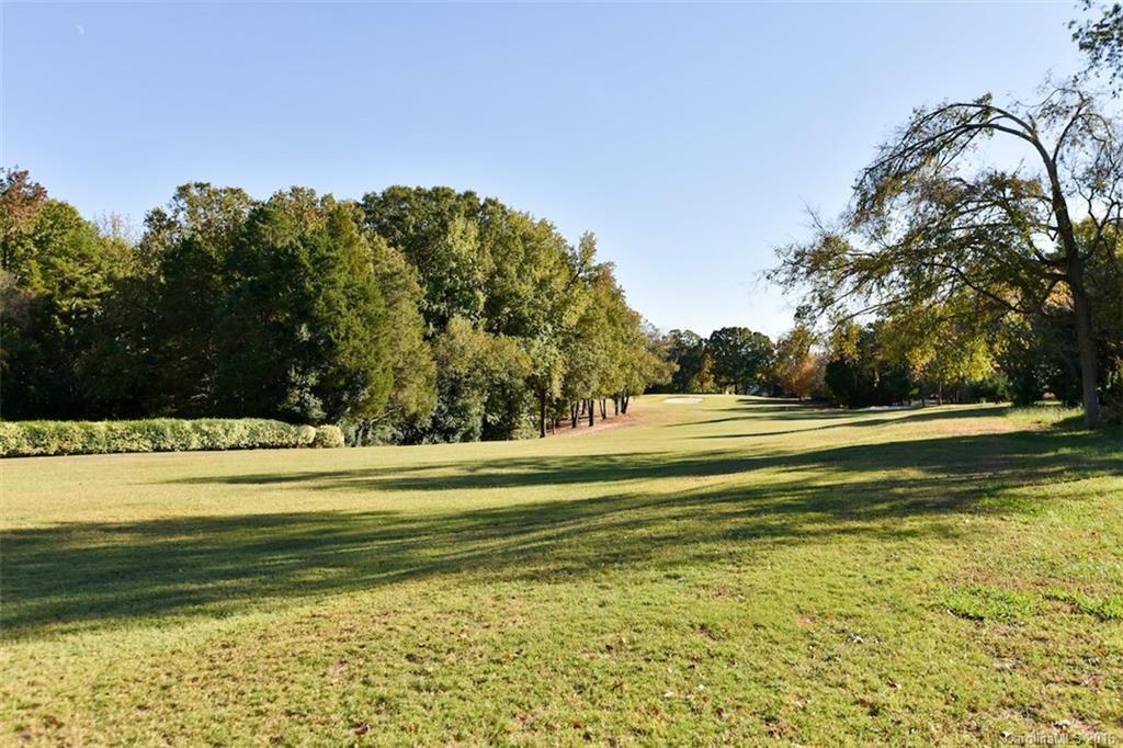 4091 Windward Drive, Unit 91 Tega Cay, SC 29708 - Photo 22 of 22 Gallery Image 22