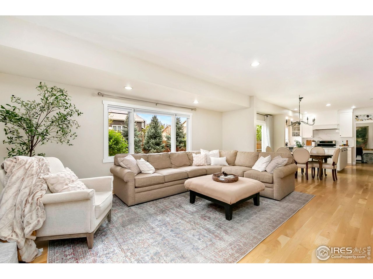 3736 Kentford Road Fort Collins, CO 80525 - Photo 14 of 37 Open concept with big windows to let the light in