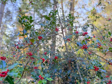 $714,999 | 140 Gybe Ho Road, Nordland, WA 98358