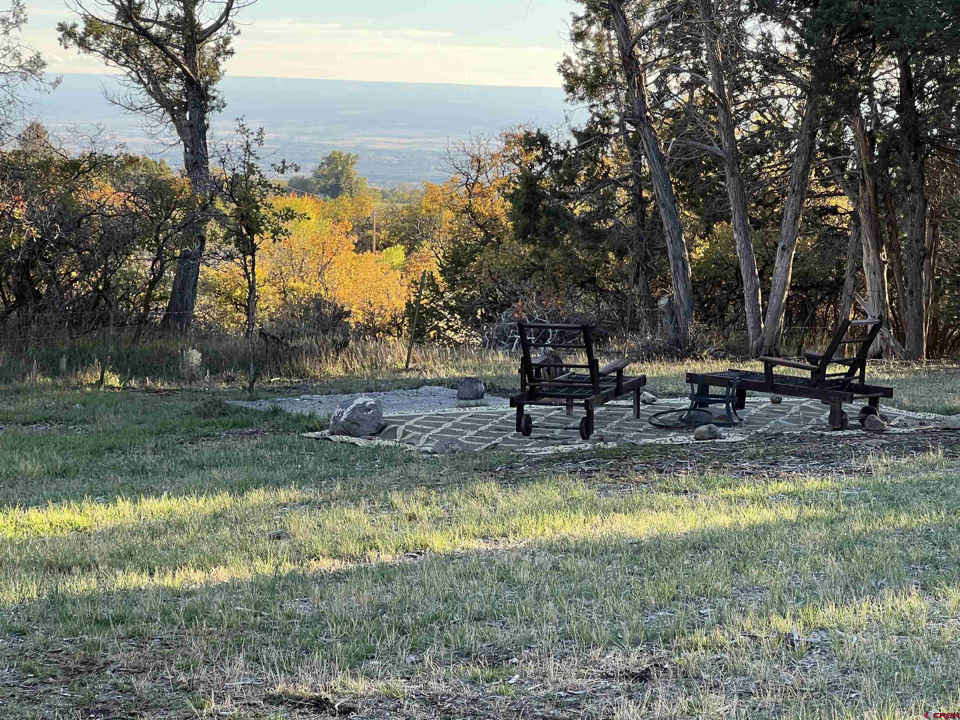 20246 2375th Road Cedaredge, CO 81413 - Photo 3 of 18 a view of a park with large trees