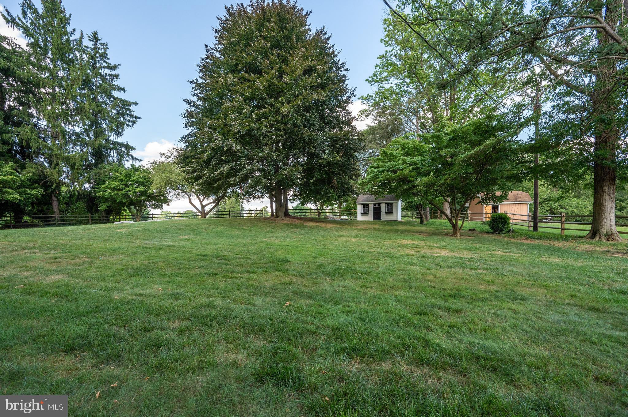 1703 Golf Road Reading, PA 19601 - Photo 58 of 70 Lovely copper beech changes color all year