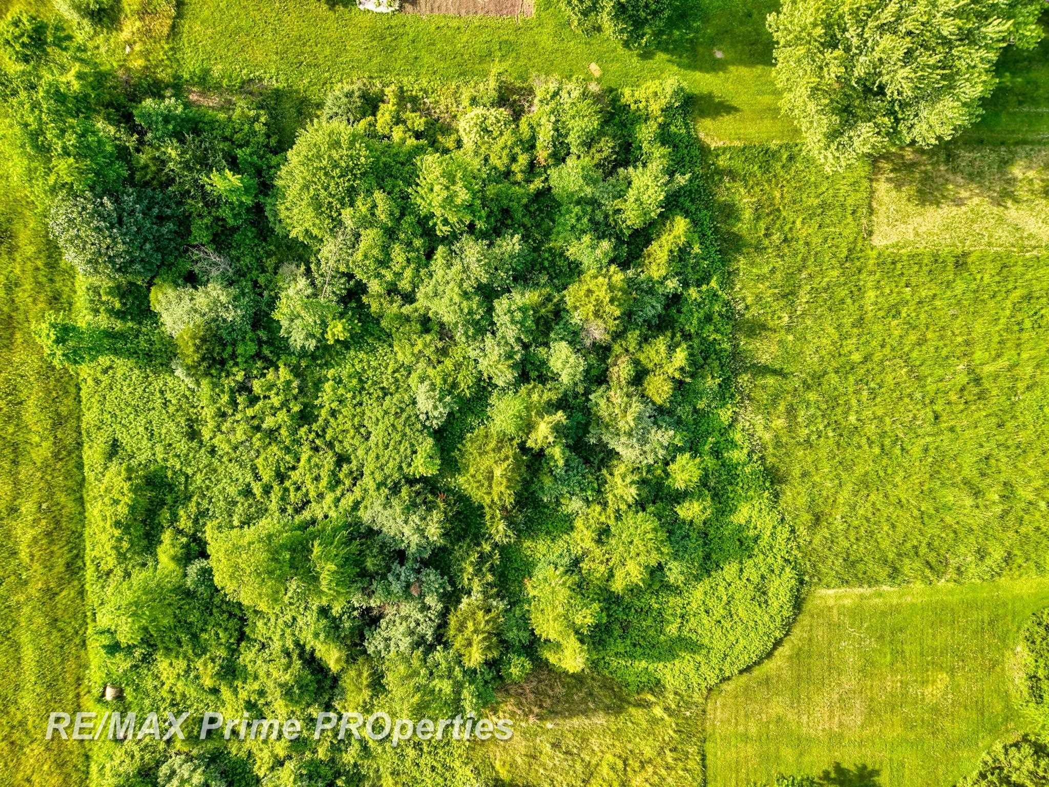 0 Oakley Road Chesaning, MI 48616 - Photo 10 of 20