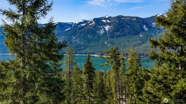 a view of a street with a tree