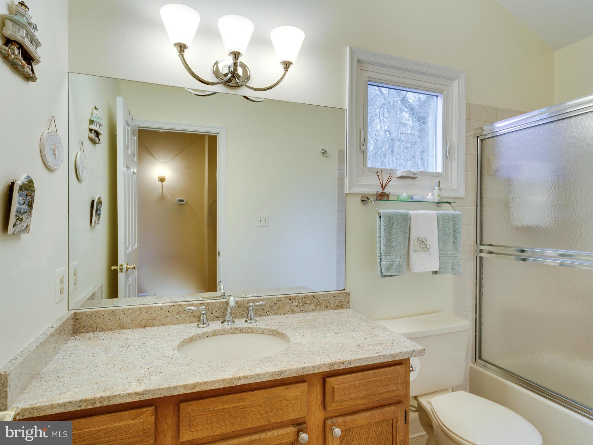 12515 Chapel Road Clifton, VA 20124 - Photo 27 of 30 a bathroom with a granite countertop sink toilet a mirror and shower