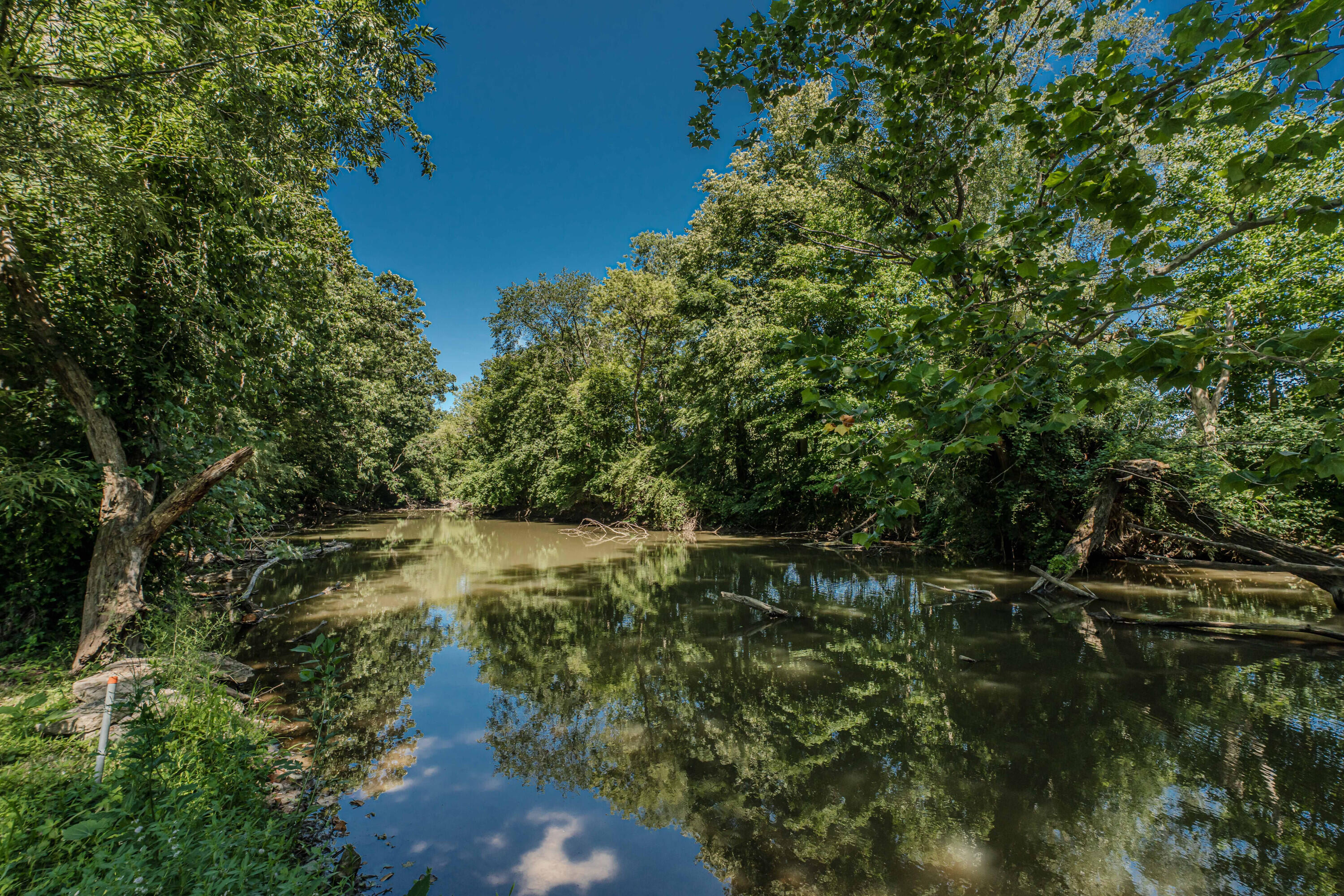 675 Mooreville Road Milan, MI 48160 - Photo 68 of 93 68 River view 1