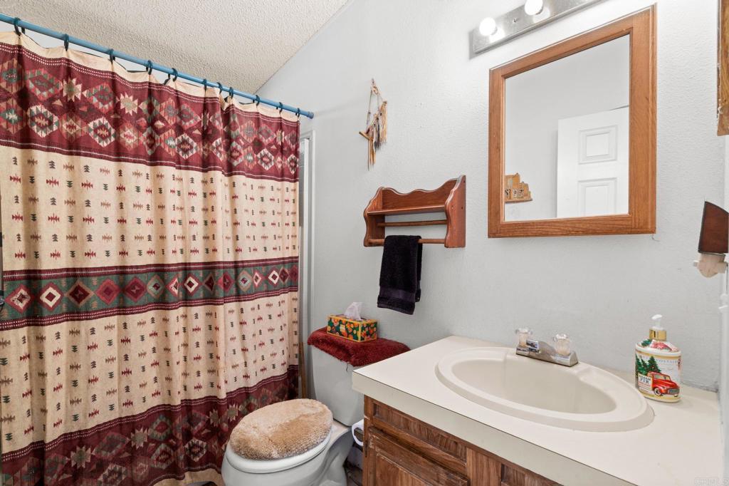 37852 Montezuma Valley Road Ranchita, CA 92066 - Photo 18 of 35 a bathroom with a sink toilet and shower