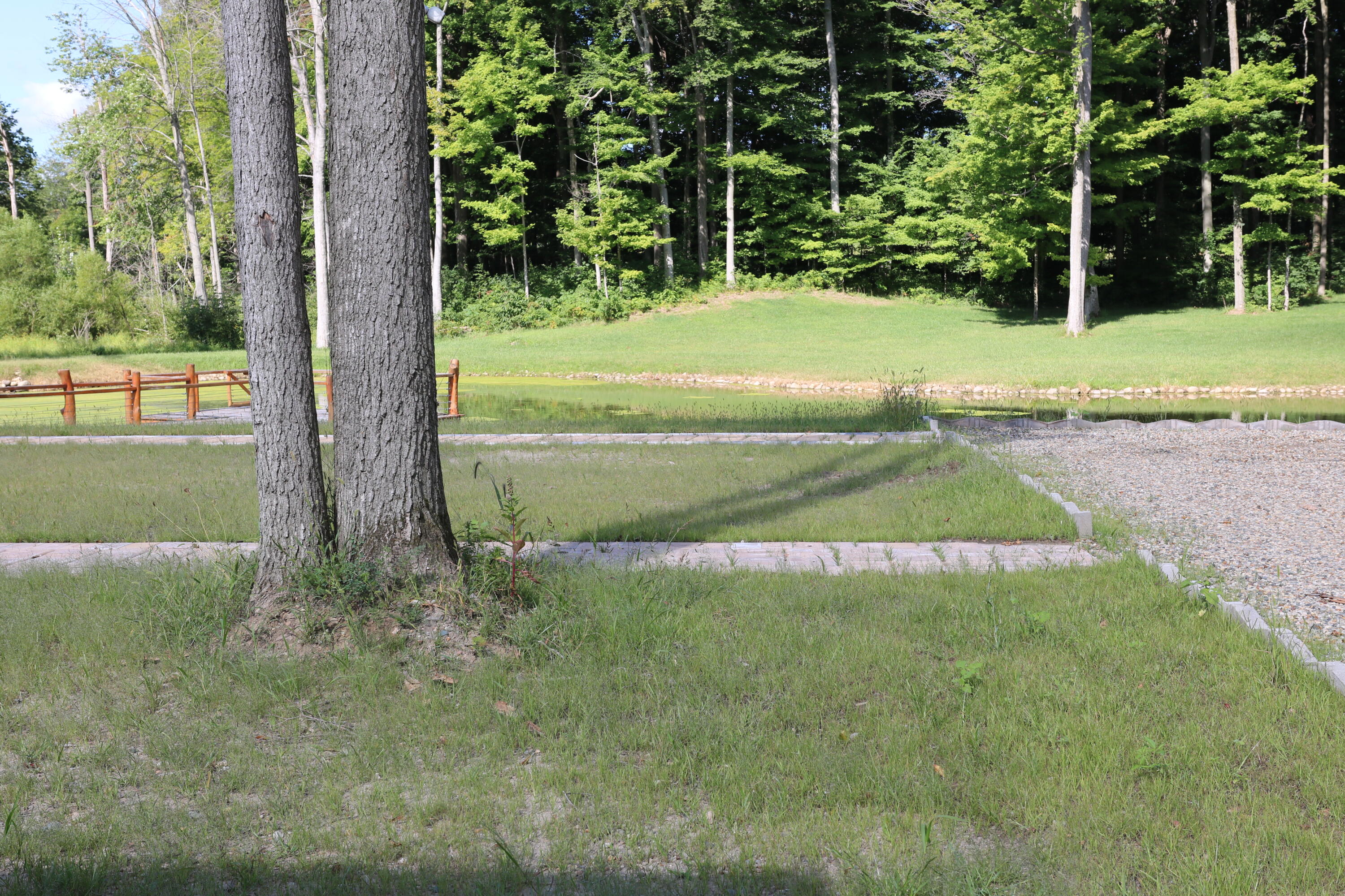 11414 Shavehead Lake Road Constantine, MI 49042 - Photo 21 of 58 Woods