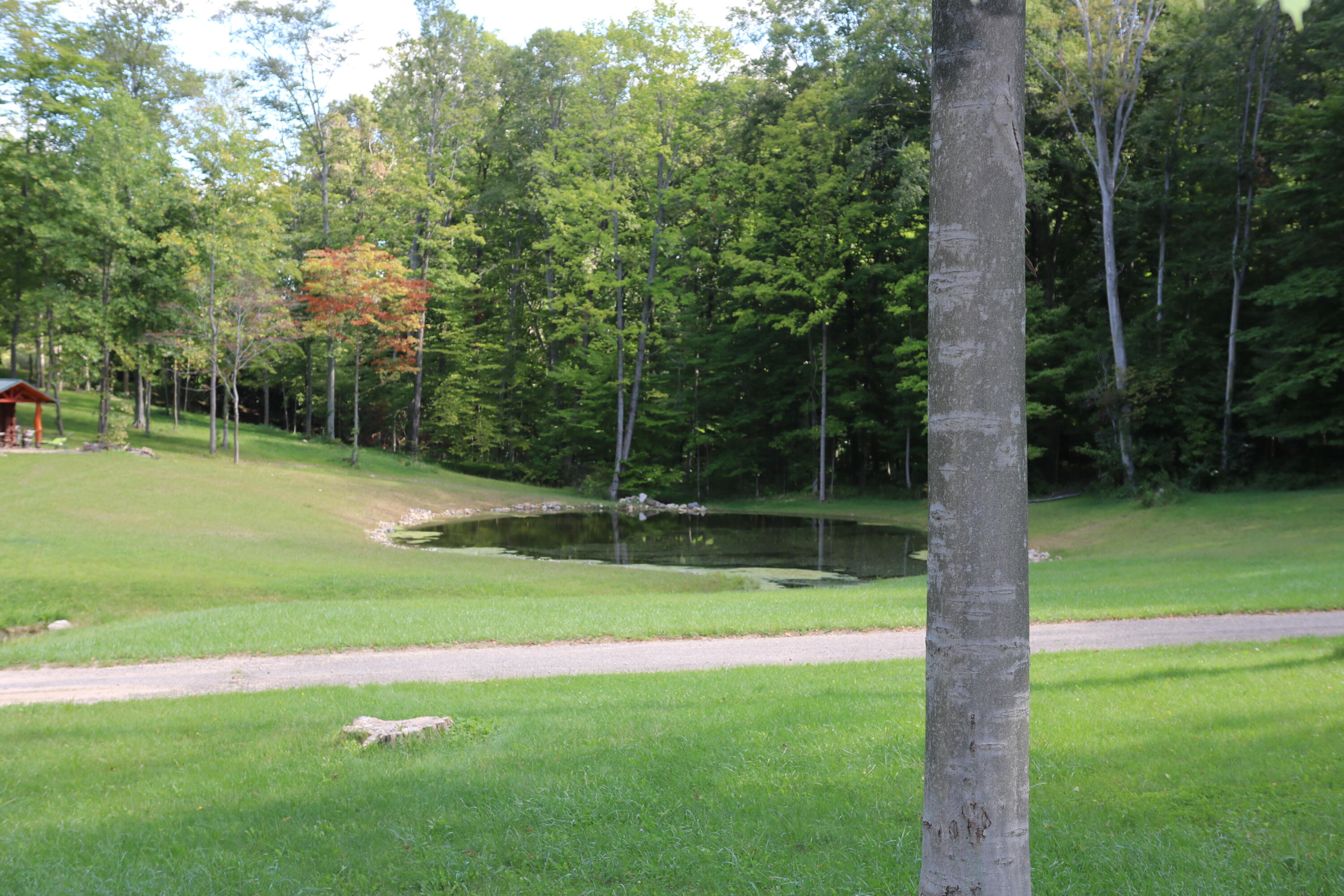 11414 Shavehead Lake Road Constantine, MI 49042 - Photo 24 of 58 Ponds