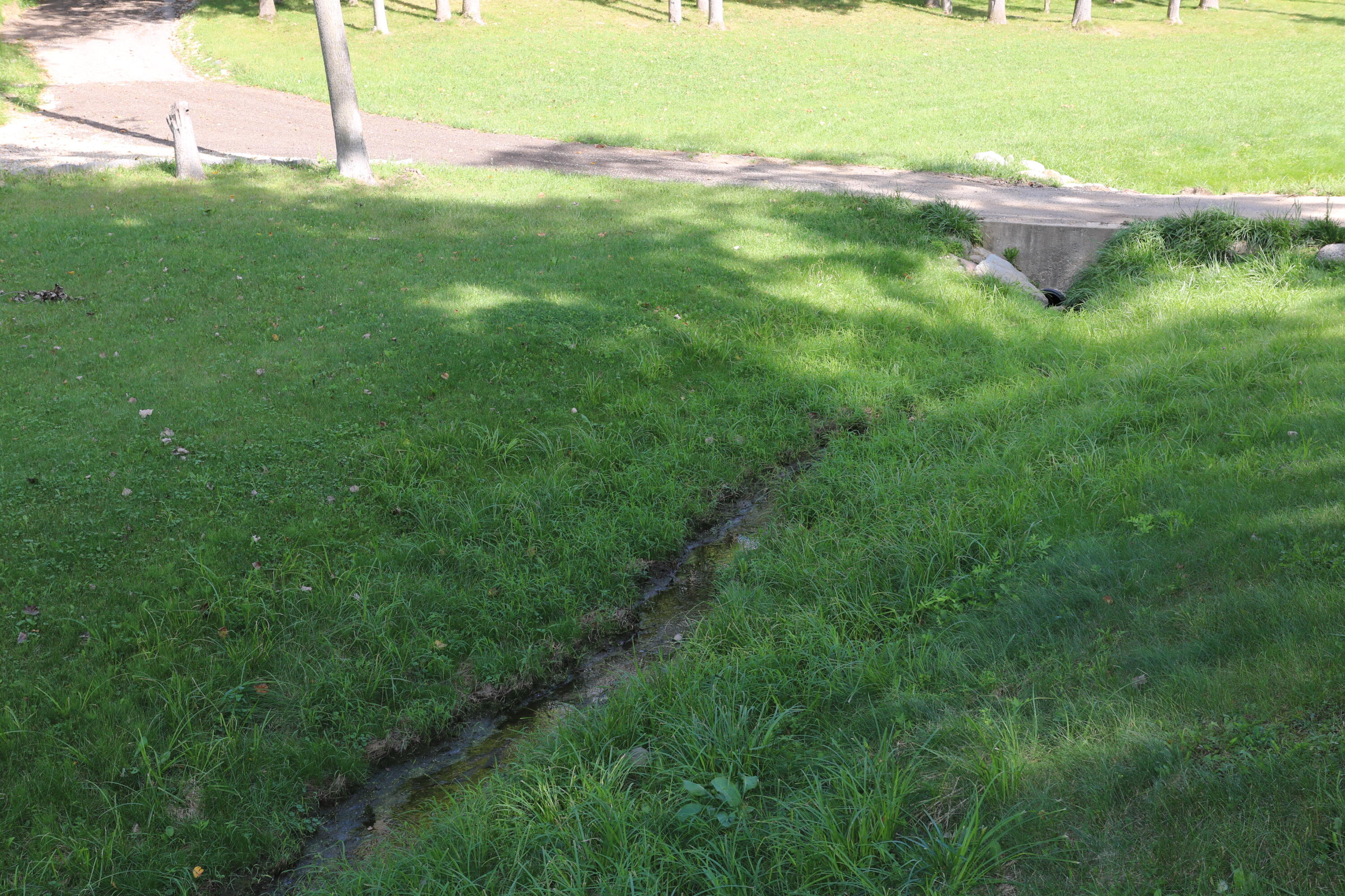 11414 Shavehead Lake Road Constantine, MI 49042 - Photo 25 of 58 Streams