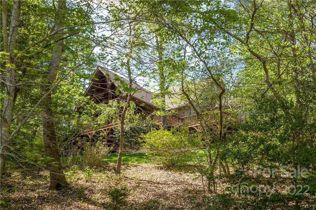 1553 Zacks Fork Road Lenoir, NC 28645 - Photo 41 of 48 a view of a tree in a yard