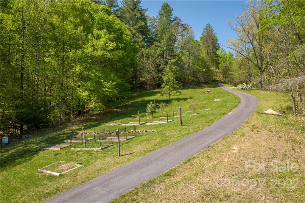 1553 Zacks Fork Road Lenoir, NC 28645 - Photo 43 of 48 a view of a yard with large trees