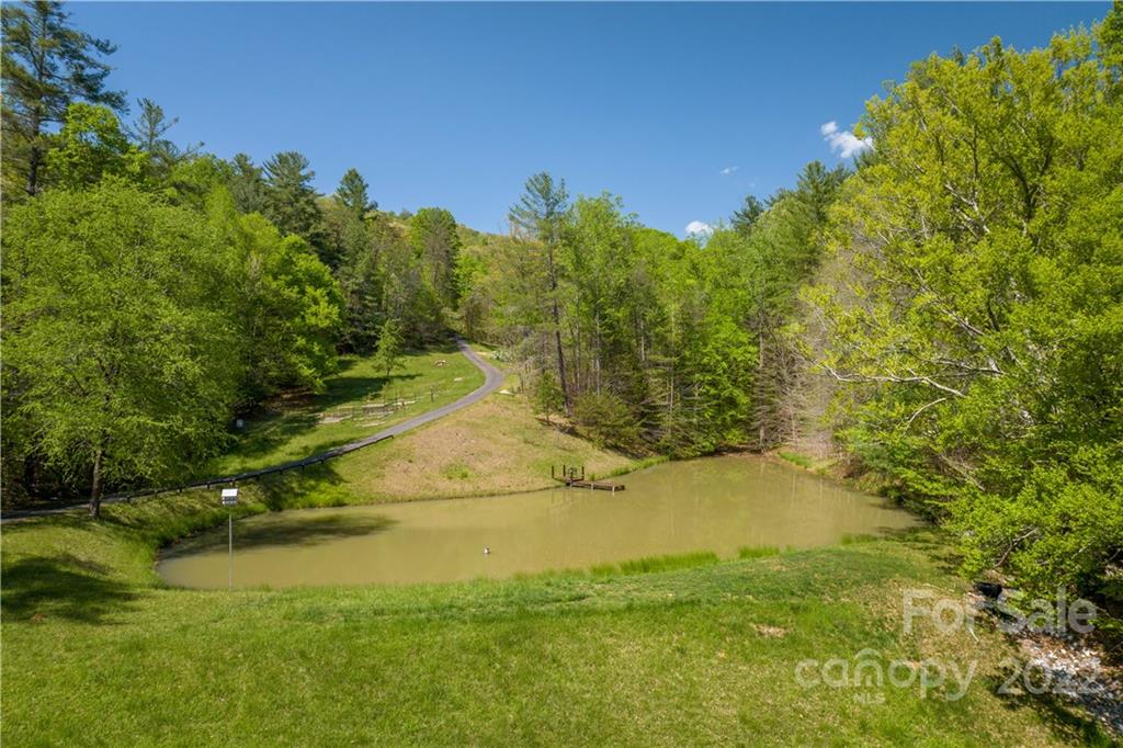1553 Zacks Fork Road Lenoir, NC 28645 - Photo 44 of 48 a view of a yard