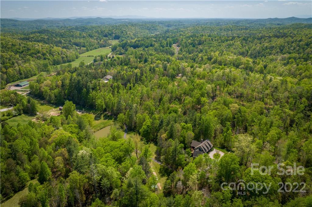 1553 Zacks Fork Road Lenoir, NC 28645 - Photo 45 of 48 a view of a green field with lots of bushes