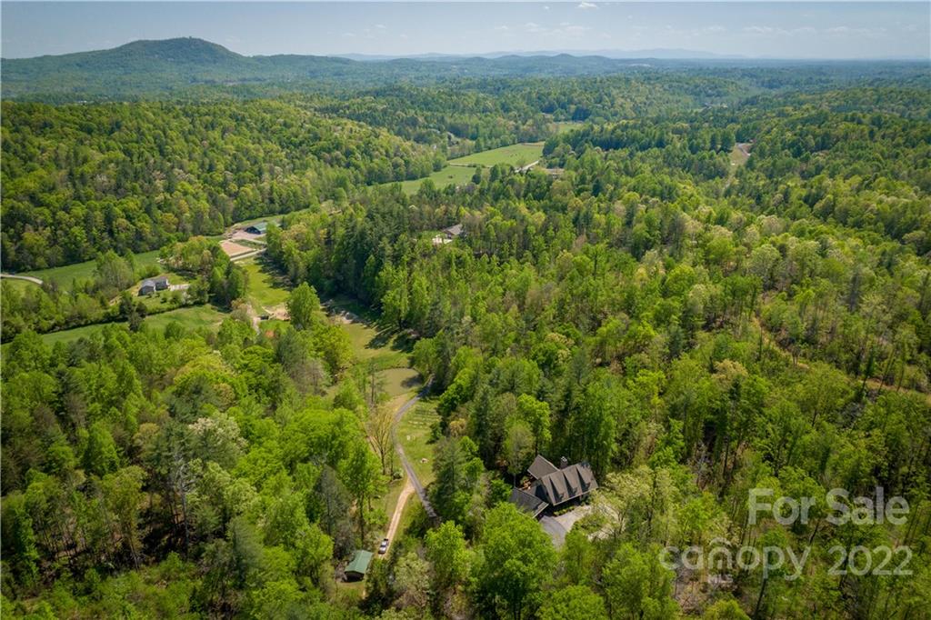 1553 Zacks Fork Road Lenoir, NC 28645 - Photo 46 of 48 a view of a lush green forest with trees in the background