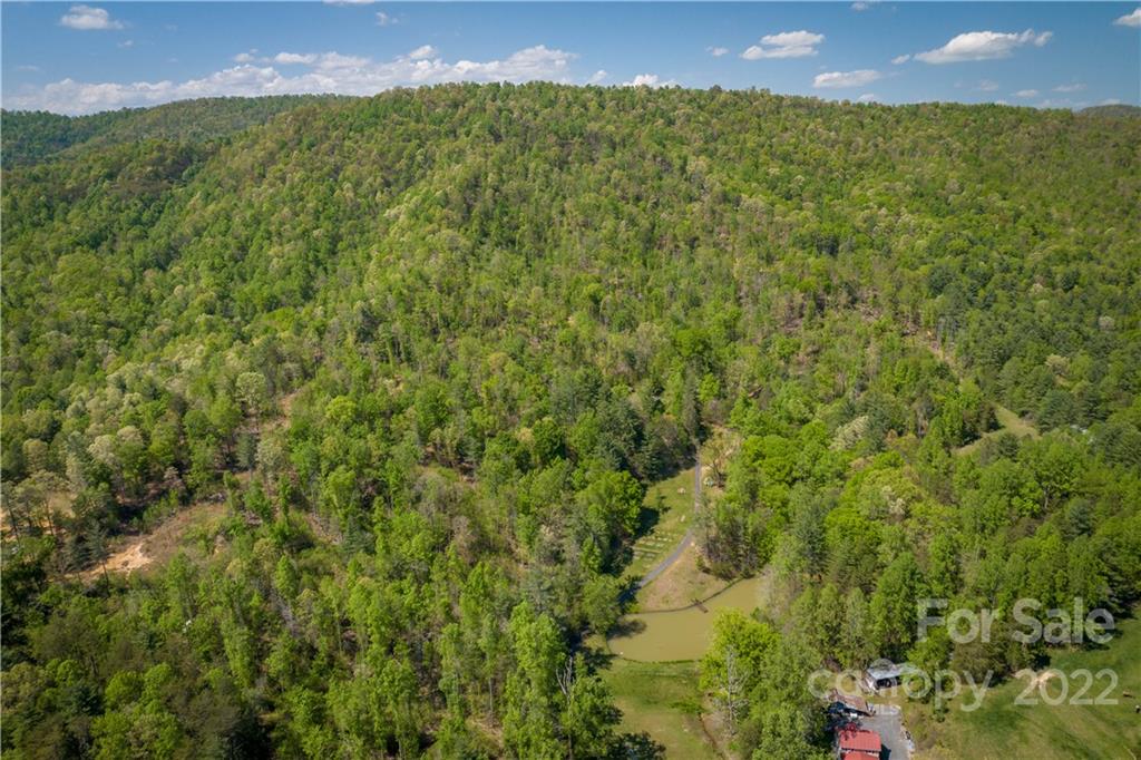1553 Zacks Fork Road Lenoir, NC 28645 - Photo 47 of 48 a view of a big yard with lots of bushes