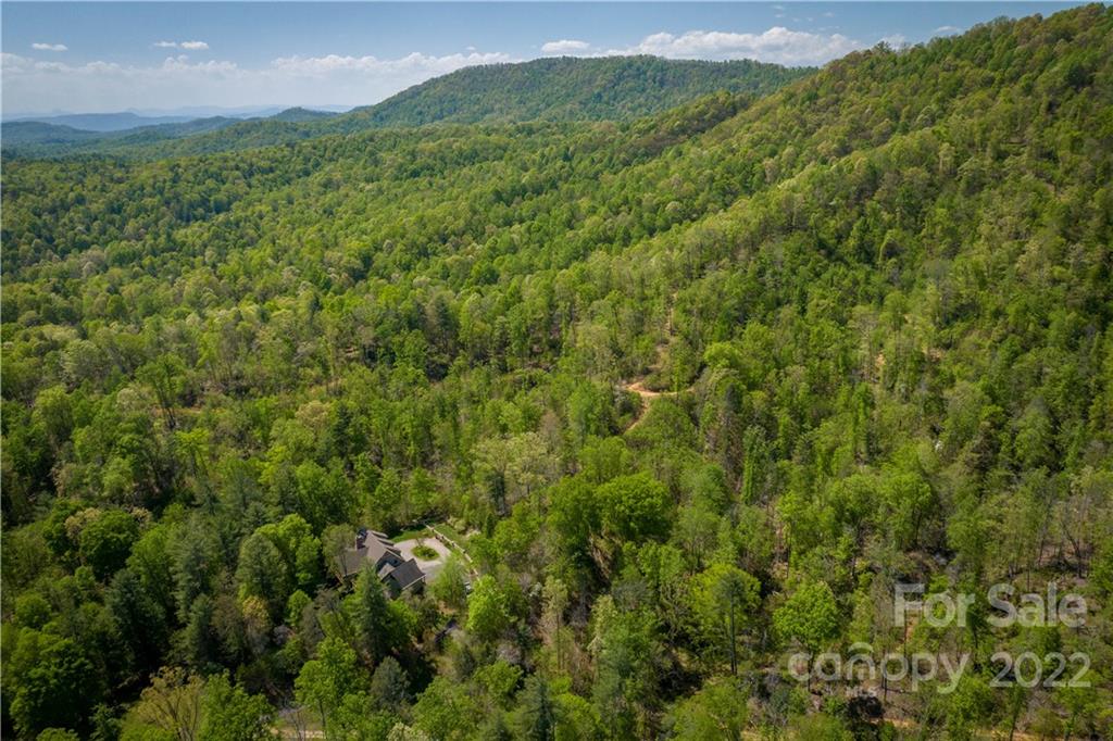 1553 Zacks Fork Road Lenoir, NC 28645 - Photo 48 of 48 a view of a lush green forest with a mountain