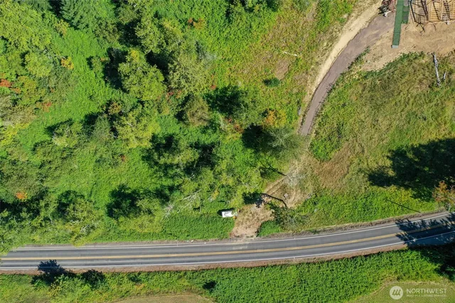 a view of yard with green space