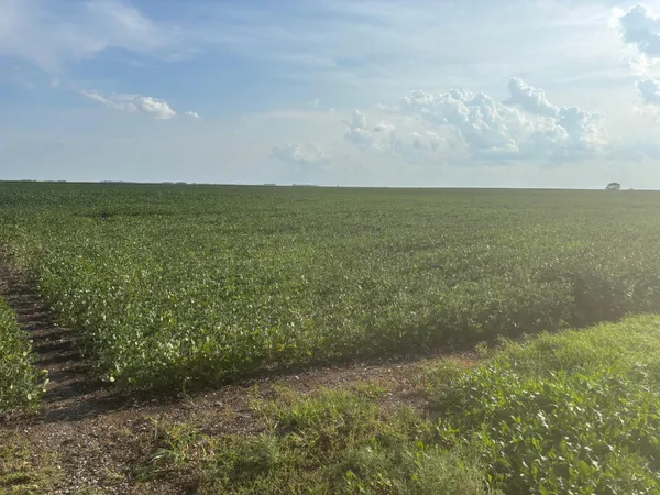 $1 | 62495 310th Street, Chokio, MN 56221