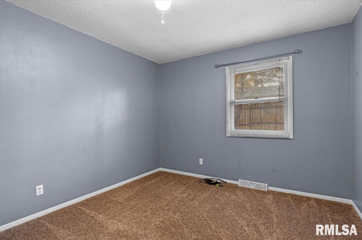 14077 St Joseph Road Athens, IL 62613 - Photo 22 of 24