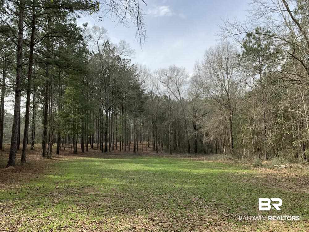 17525 Joe Gottler Road Elberta, AL 36530 - Photo 16 of 44