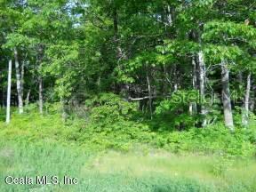 0 Southwest 34th Terrace Road Ocala, FL 34473 - Photo 1 of 1 vacant lot