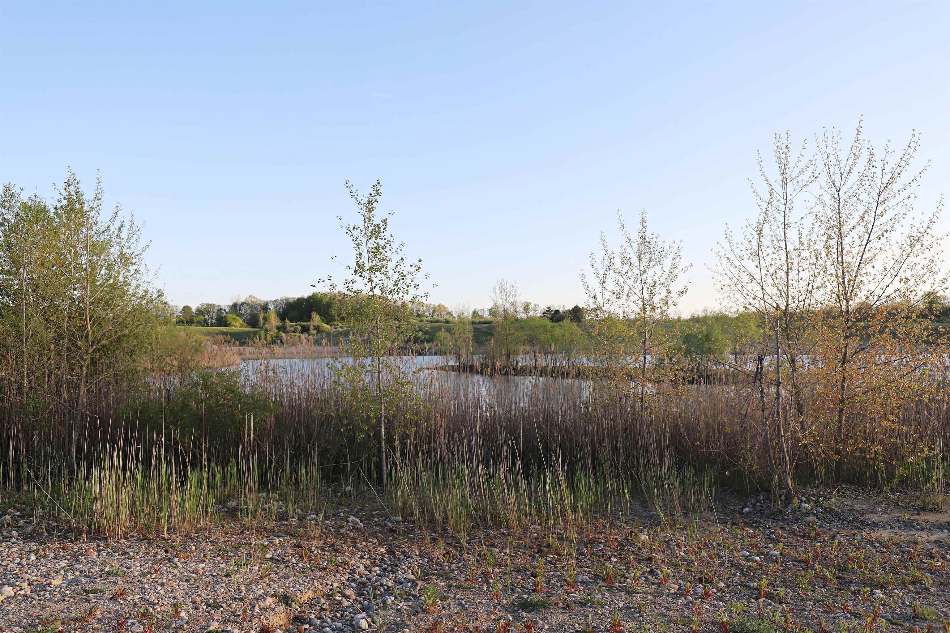 10241 North McKinley Road Montrose, MI 48457 - Photo 20 of 38