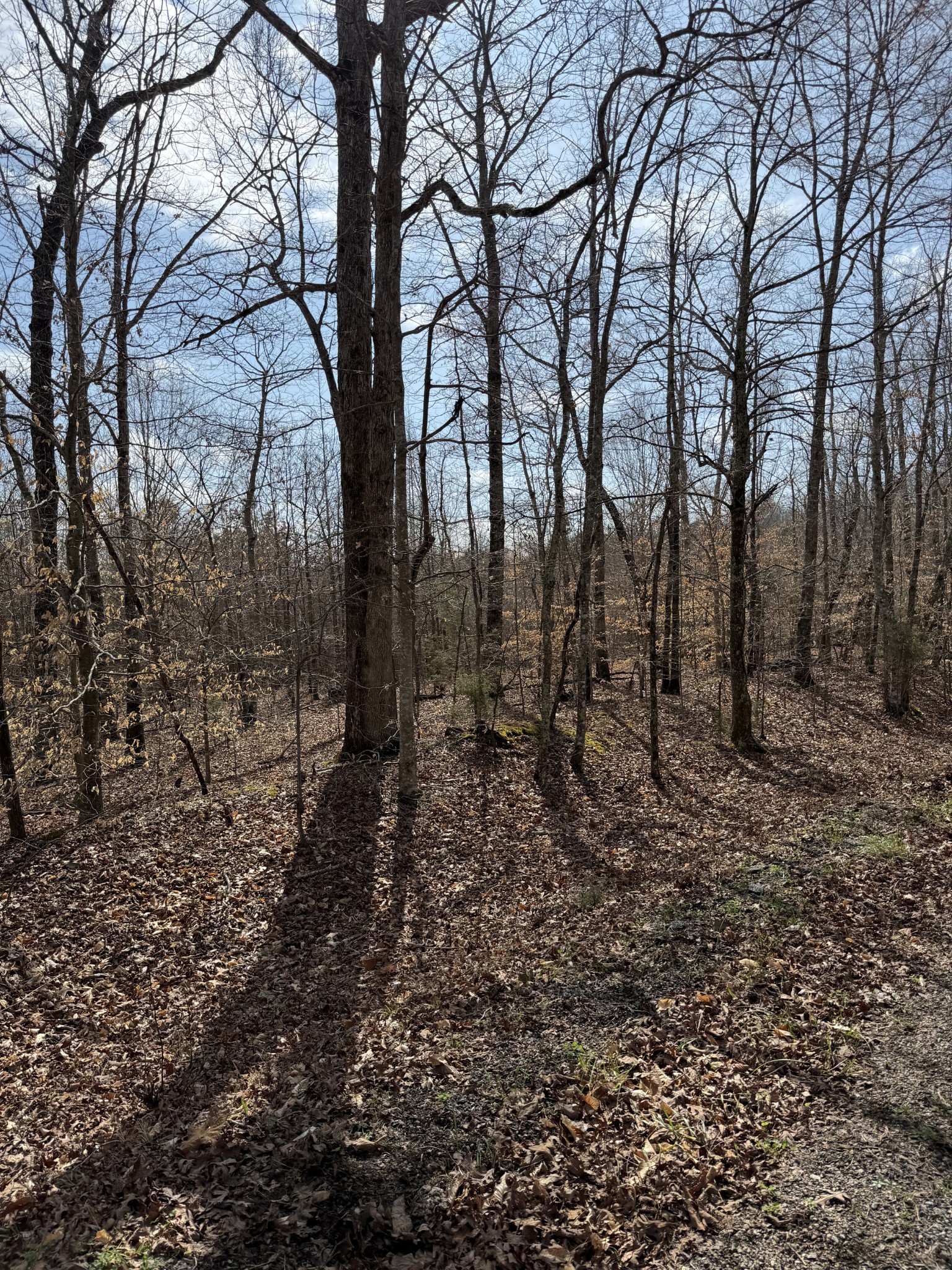 1 Highway Coxburg Road Holladay, TN 38341 - Photo 2 of 3