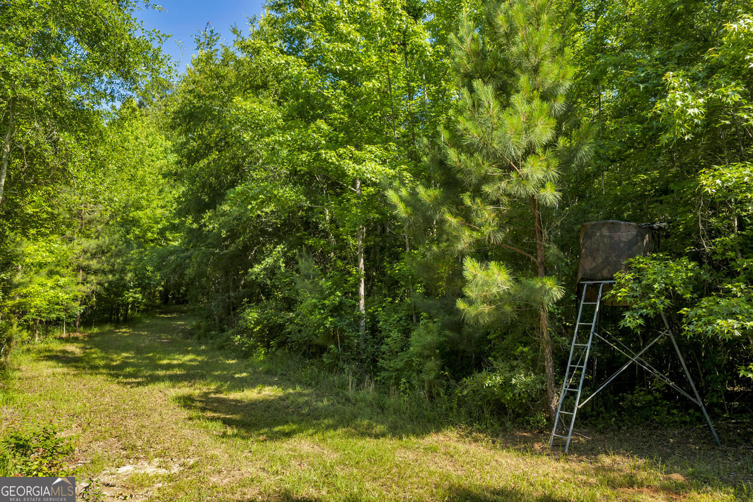 651 Branan Road Toomsboro, GA 31090 - Photo 51 of 53