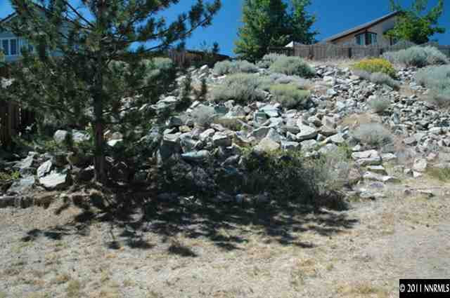 2789 Montego Drive Reno, NV 89523 - Photo 9 of 11 a view of a dry yard