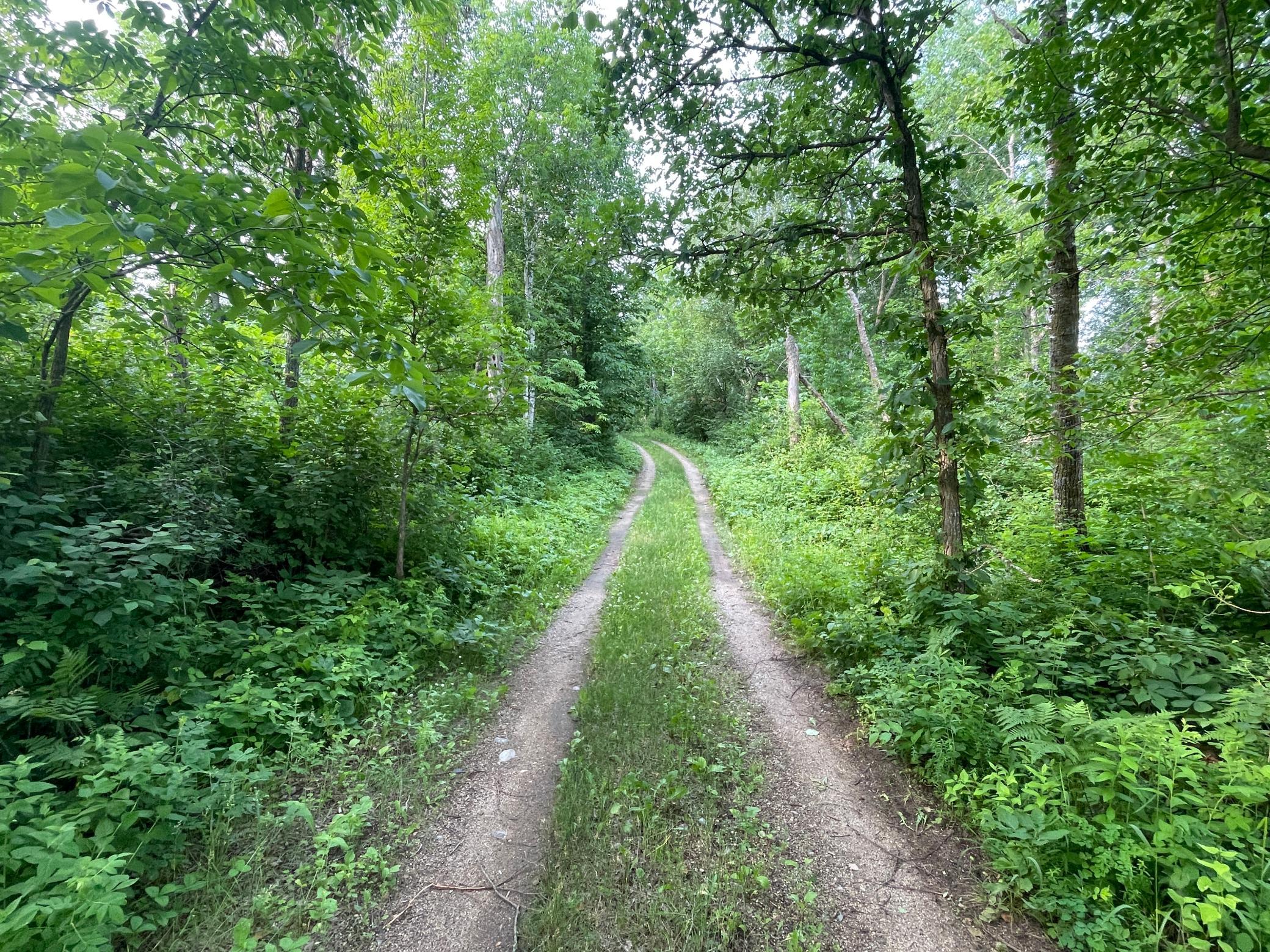 38953 Ada Beach Road Ponsford, MN 56575 - Photo 18 of 94